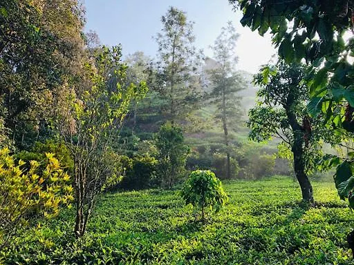 Maverick Holidays Inn Family Villa 3 Vagamon 0*,  India
