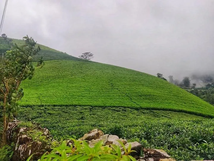 Maverick Holidays Inn Family Villa 3 Vagamon