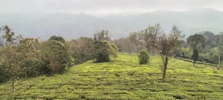 Maverick Holidays Inn Family Villa 3 Vagamon India